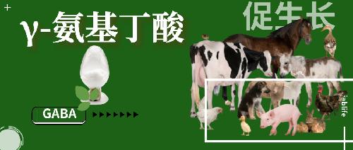 動物生長調節(jié)劑—— γ-氨基丁酸（GABA）