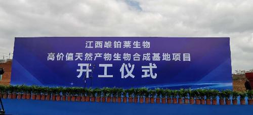 唯鉑萊項(xiàng)目開(kāi)工奠基了!