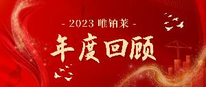 唯有熱愛，鉑創(chuàng)未萊——2023年度工作回顧